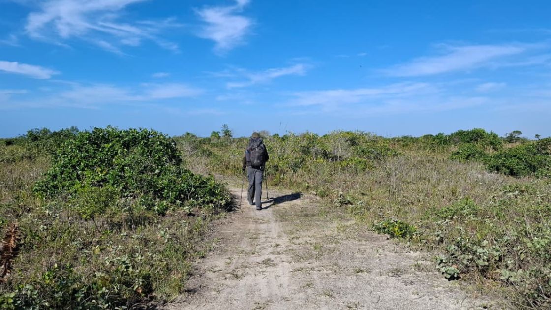 Governo de São Paulo lança Rede Estadual de Trilhas para integrar turismo sustentável e conservação ambiental